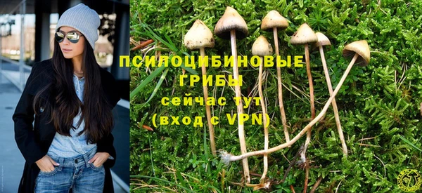 гидра Нягань