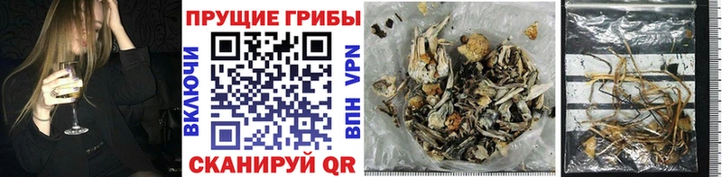 Галлюциногенные грибы GOLDEN TEACHER  Игра 