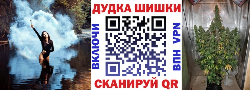 дарнет шоп  Игра  OMG ссылка  Каннабис план 